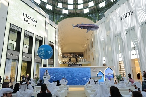 Qatar Tourism launches the return of Whale Shark Tours