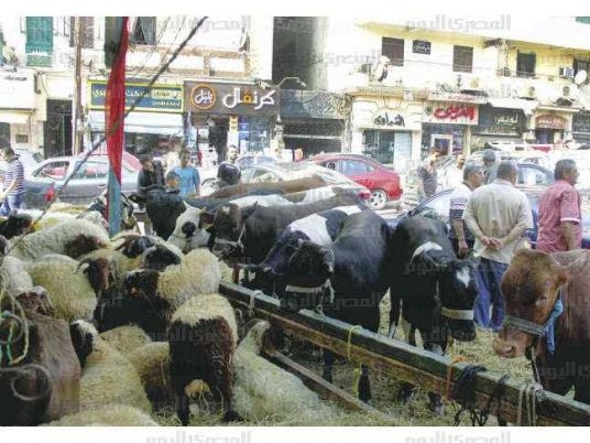 Egypt implements precautionary plans after foot-and-mouth disease reported in several countries