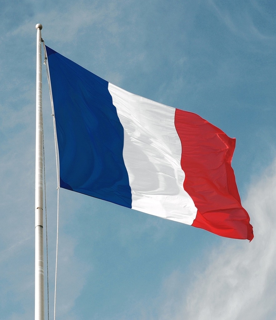Egypt, France to enhance partnerships among health institutions