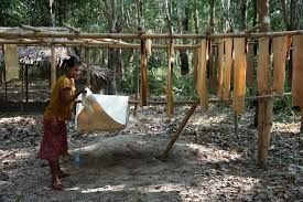 Myanmar aims to export over 350,000 tonnes of rubber in FY 2025-26