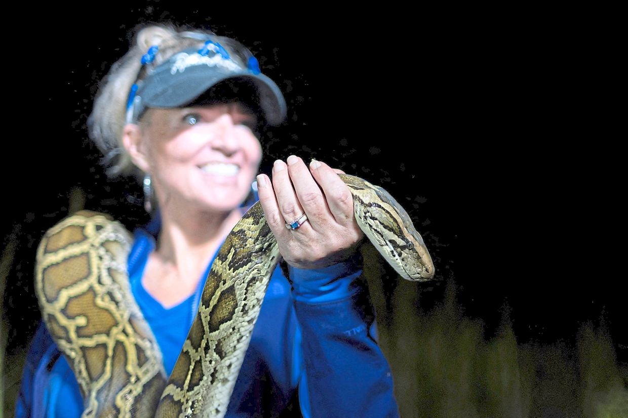 Meet the 'Python Huntress', who has more than 600 dead pythons under her belt