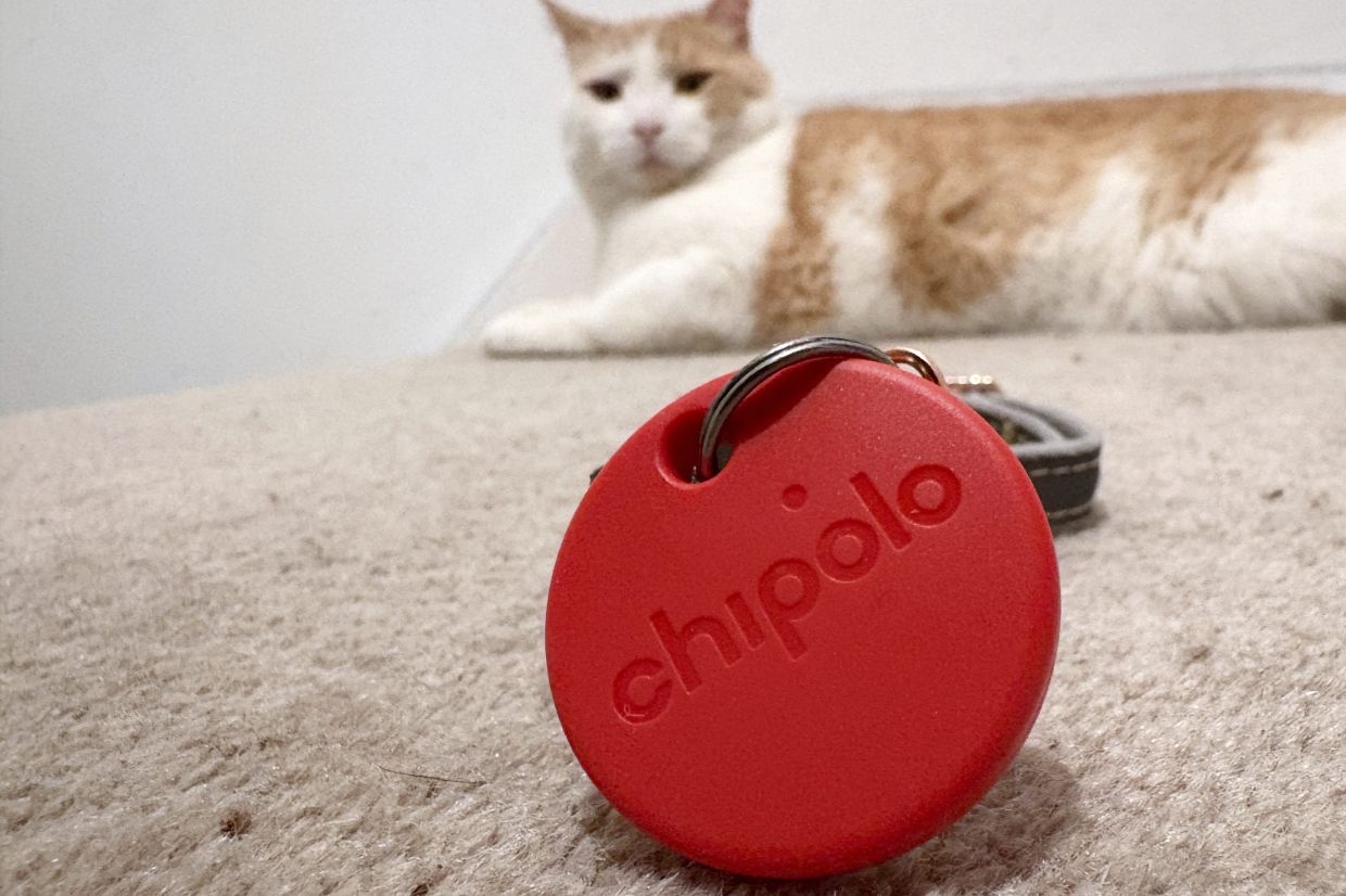 One Tech Tip: No more lost cats and dogs. Use tech to track your pet