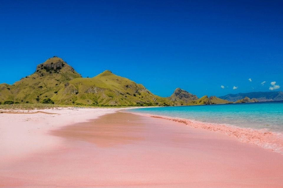 Chinese tourist drowns off Indonesia's pink beach after skipping life jacket to pose for camera