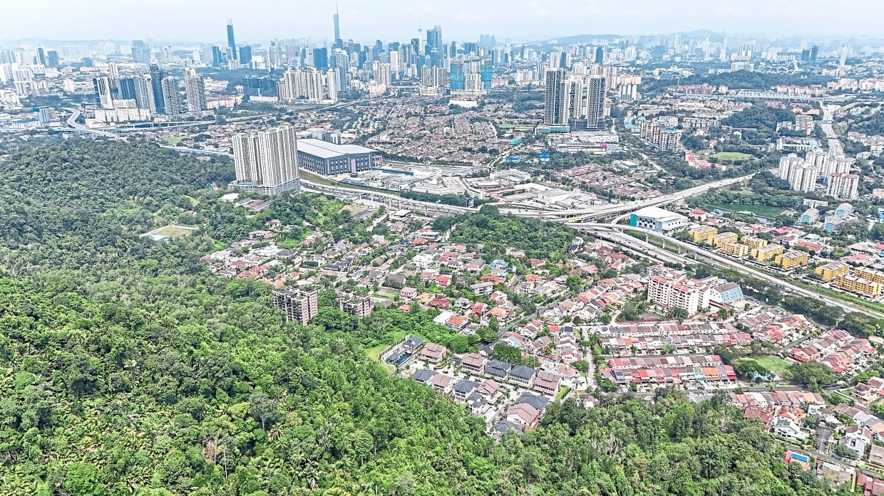 Sub-committee to help with strata title delivery