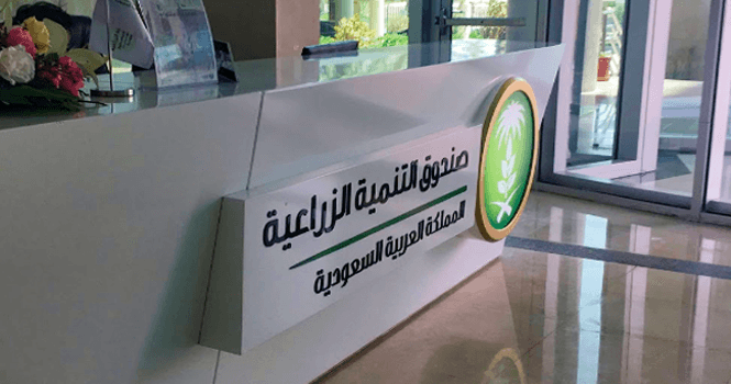 ADF OKs SAR 2.7B in loans