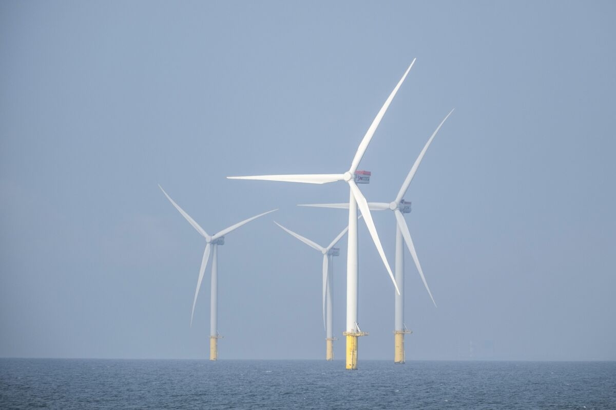Meet the Climate Leaders Working to Cut Emissions