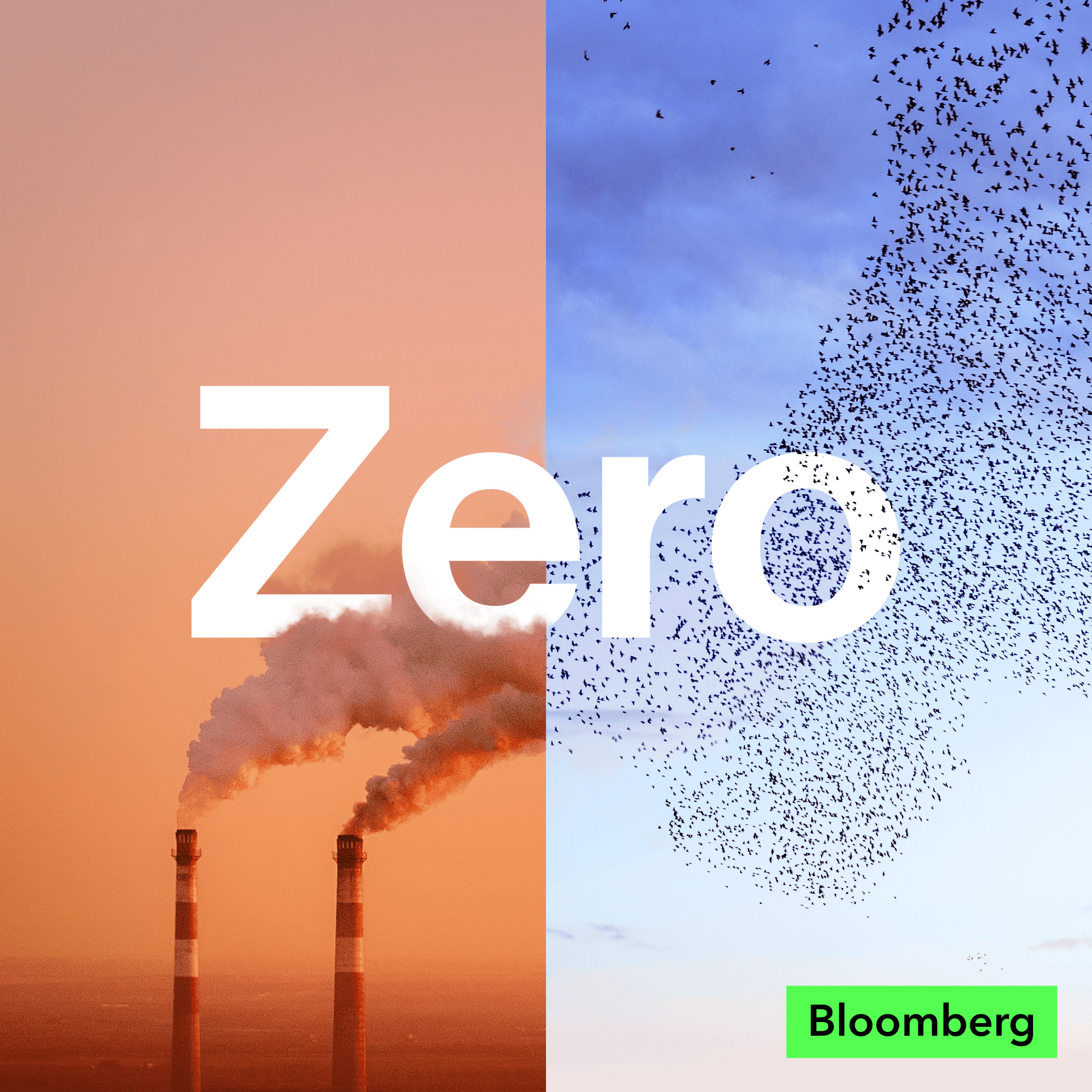 Zero: Labor Shortages Are Holding Back Electrification