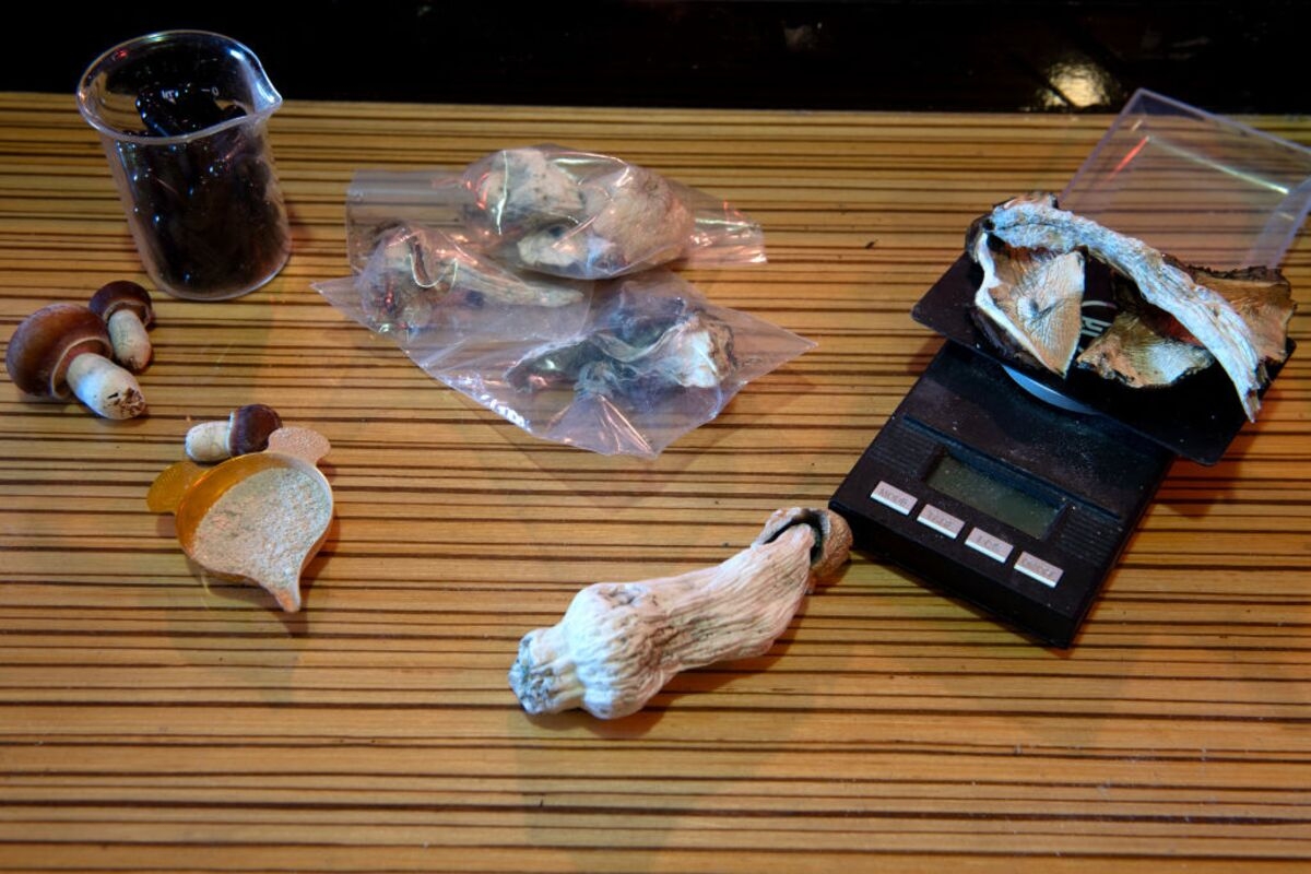New Zealand Allows First Medical Use of Magic Mushroom Compound