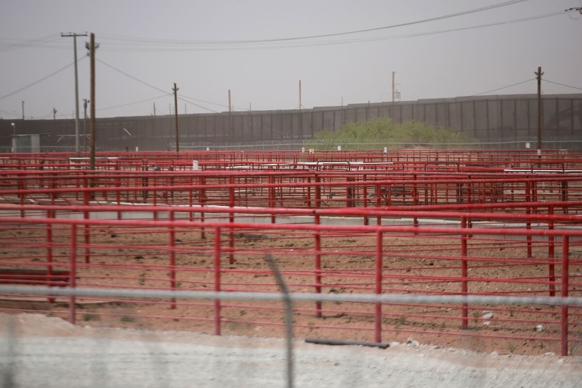 US Plans Texas Facility to Stop Flesh-Eating Cattle Pest
