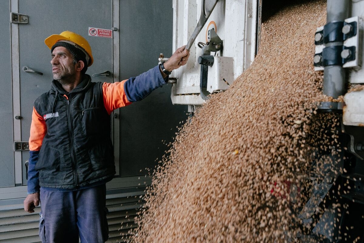 Romania Set for Biggest Wheat Crop Since 1997, Argus Says