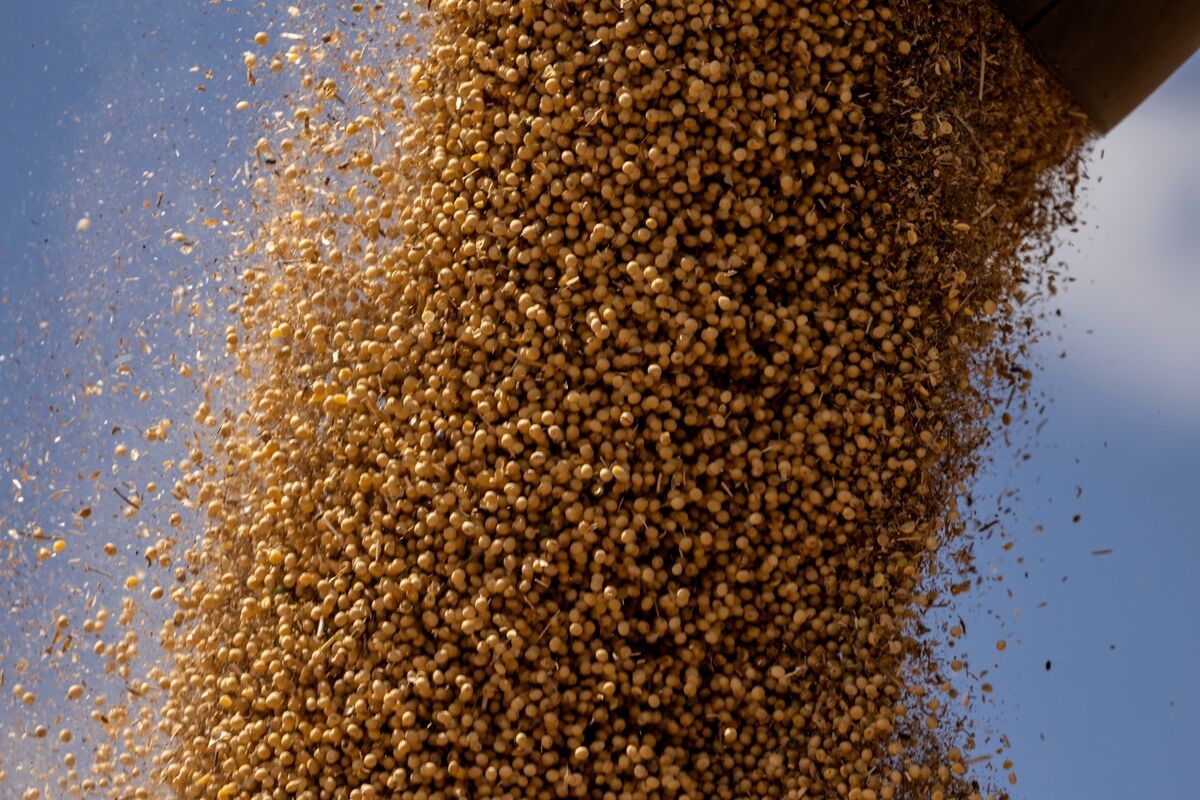 China Soy Imports at Record as US Spat Spurs More Brazil Flows