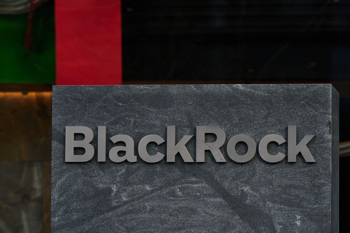 BlackRock Says Super-Rich Want Private Credit as PE Lags
