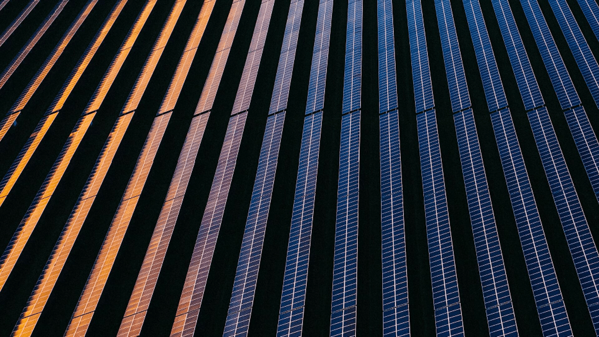 How Big Oil Is Investing in the Energy Transition