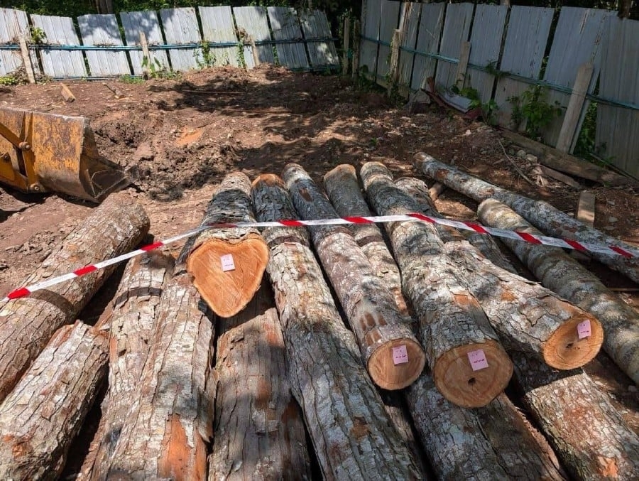 Malaysia's timber exports may gain edge due to higher US tariffs on competitors