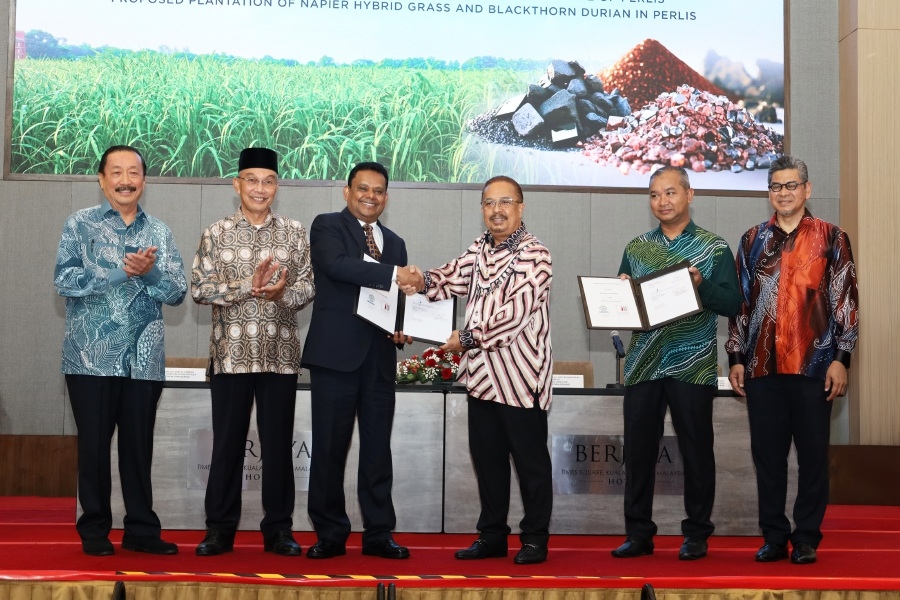 Berjaya Land to start planting durian in Perlis