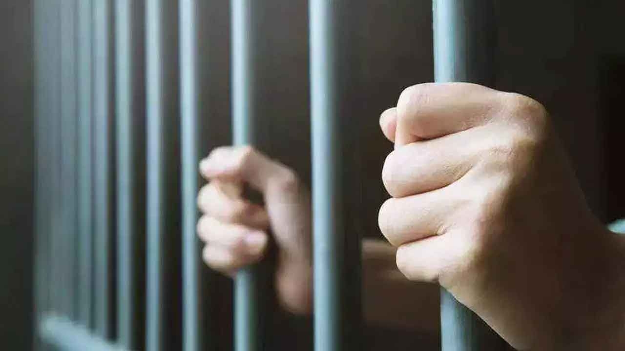 Red sanders smuggler gets 5-yr jail