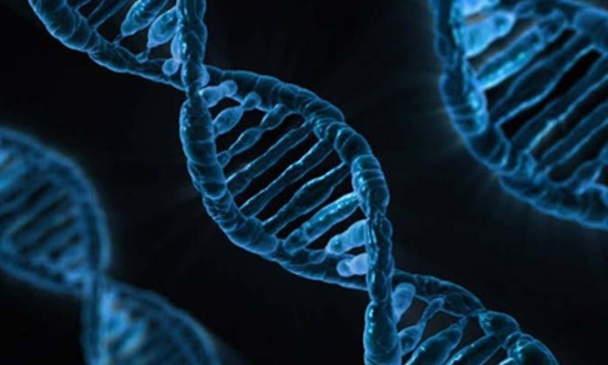TN to open genetic disorder centres in Coimbatore, Madurai