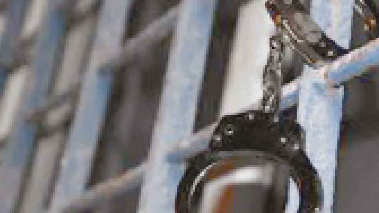 TN: Five arrested with 1.5 kg Methaqualone in drug bust in Chennai