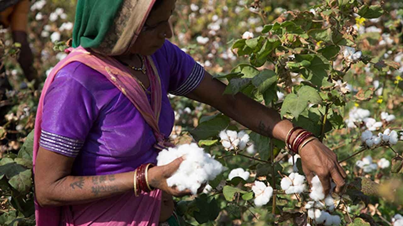 BCI farmers get global recognition