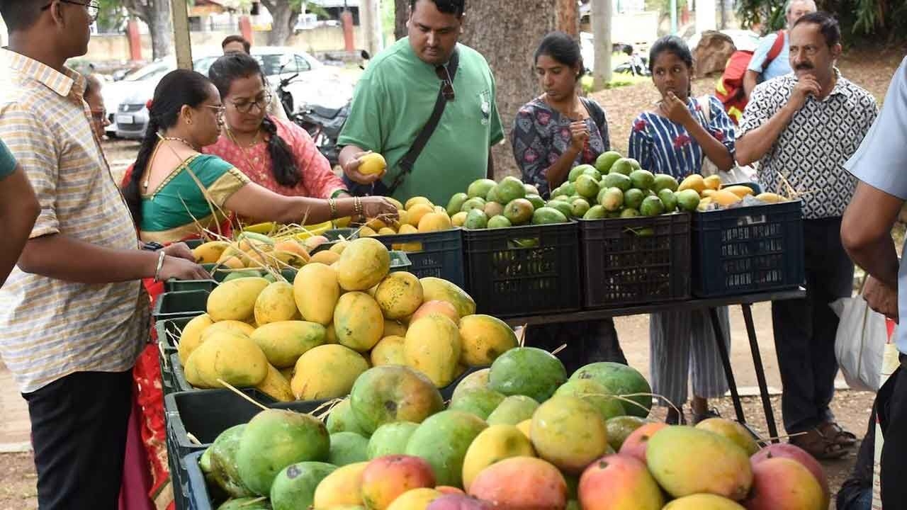 Cabinet to press Centre for relief for mango farmers
