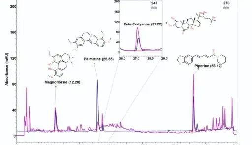 Neurogrit Gold Opens New Avenues for Parkinson's Disease Treatment