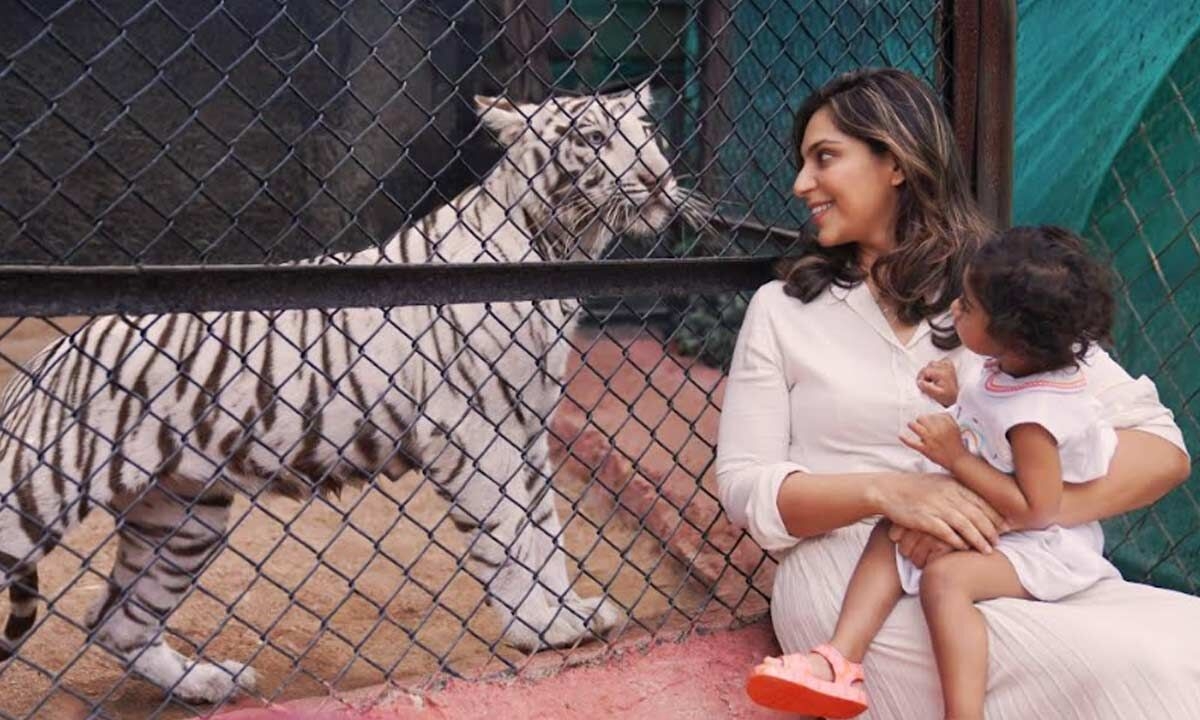 Ram Charan, Upasana celebrate Klin Kaara's b'day with heart-warming gesture at Hyderabad zoo
