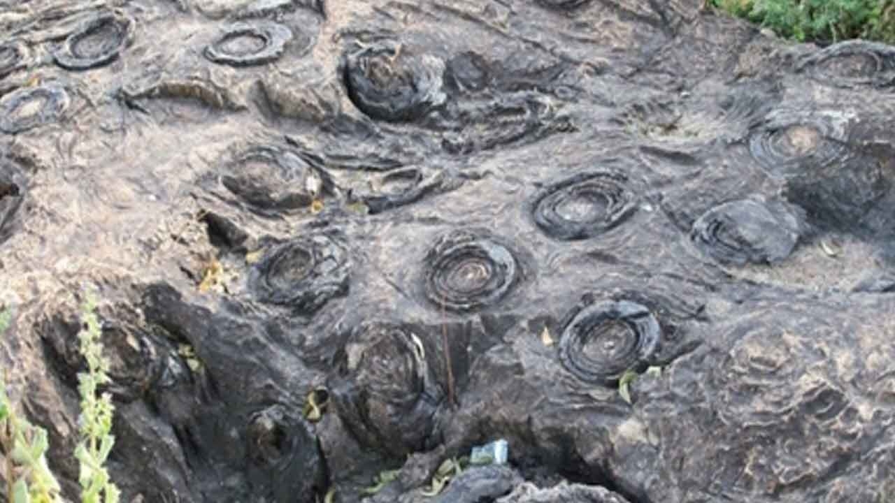 UP's Salkhan Fossils Park joins Unesco's tentative World Heritage List
