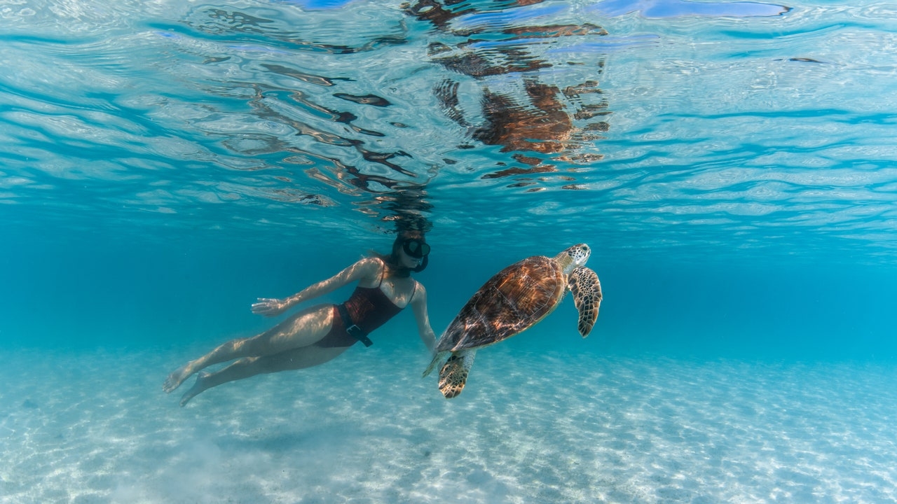 I Am Prepared to Make Snorkeling My Entire Personality