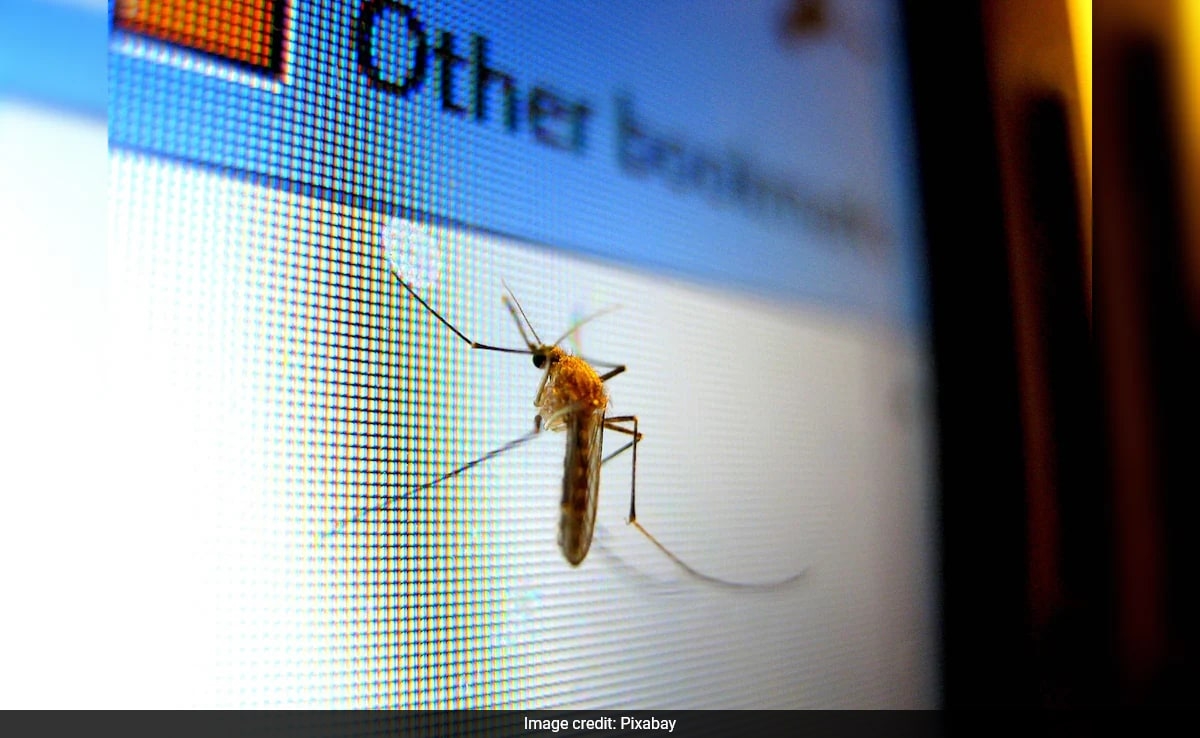 China's New Military Weapon: Tiny Mosquito Drone Could Change Warfare Forever