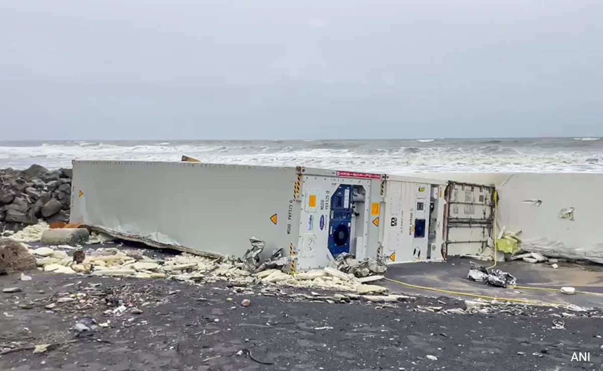 Plastic Nurdle Spill From Sunken Cargo Ship Reaches Tamil Nadu, Raises Alarm