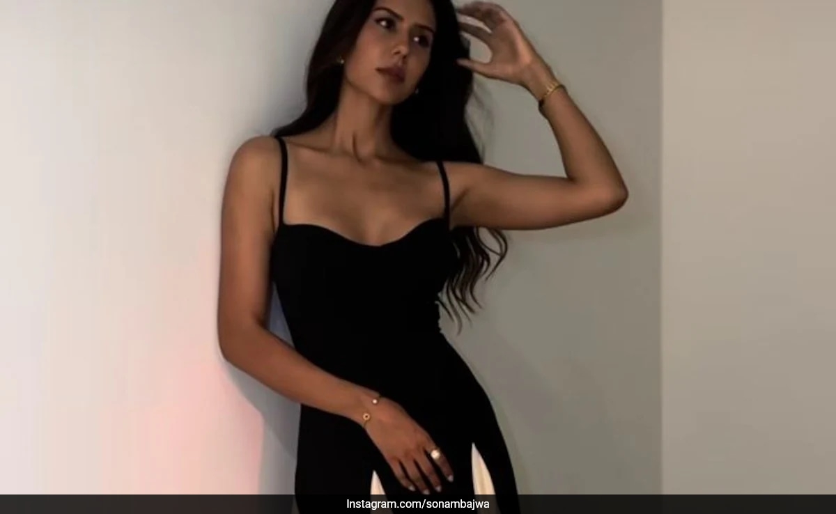 Sonam Bajwa's Colour Blocked Monochrome Maxi Dress Blends Chic Vibes With Charm