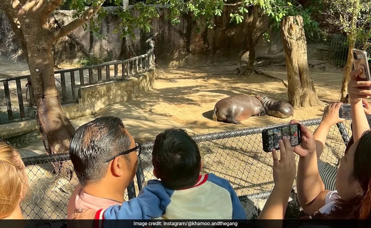 Terminally Ill Boy Fulfills Final Wish To Meet Viral Hippo Moo Deng
