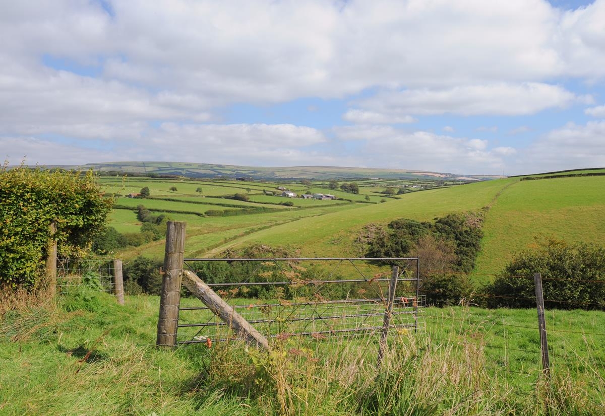 DAFM issues update on 2025 ACRES scorecards