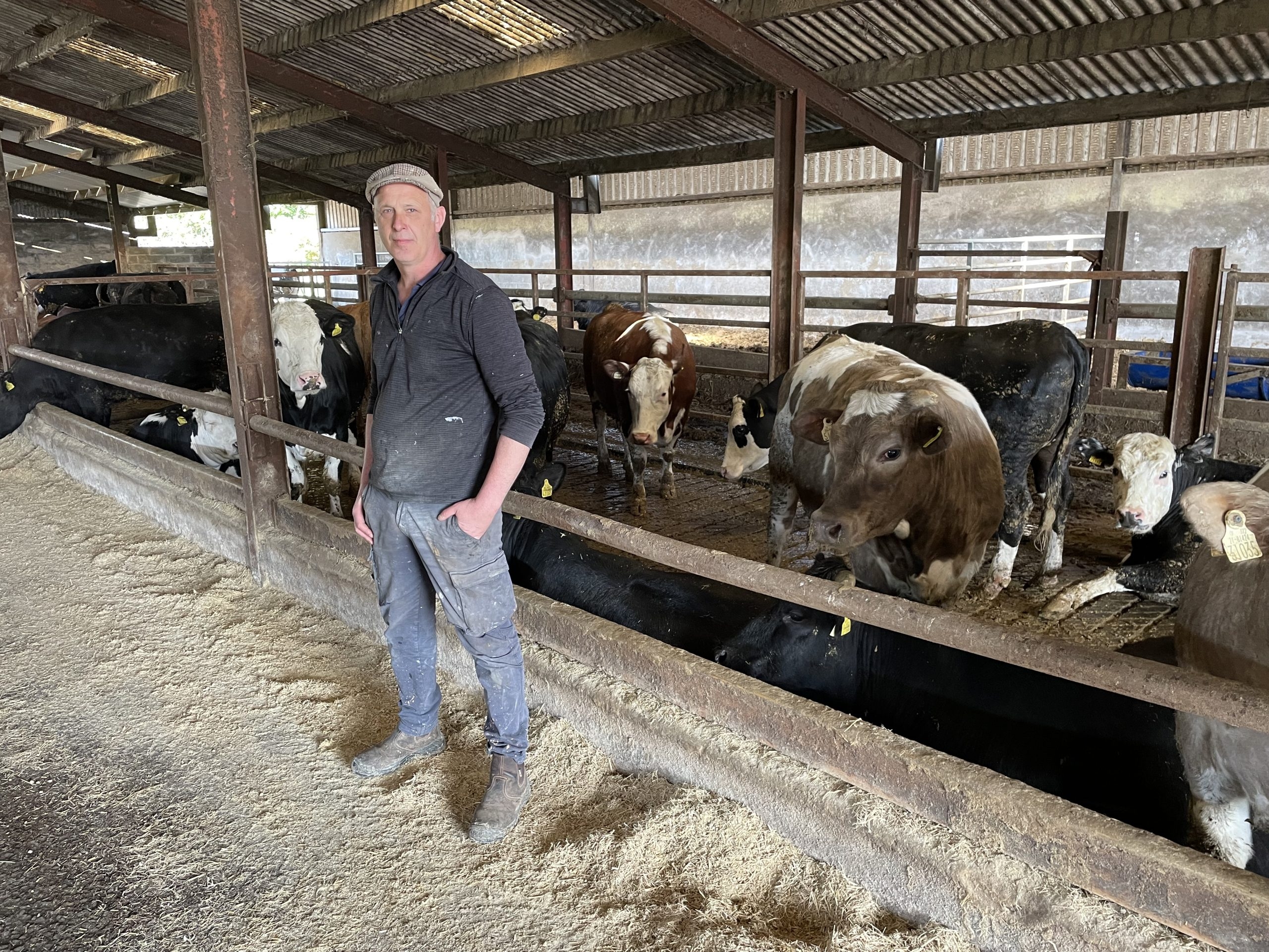 Listen: LESS not all plain sailing for beef-shed slurry