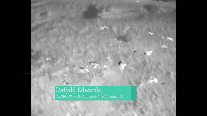 Incredible drone footage shows moment dog is found after vanishing during walk