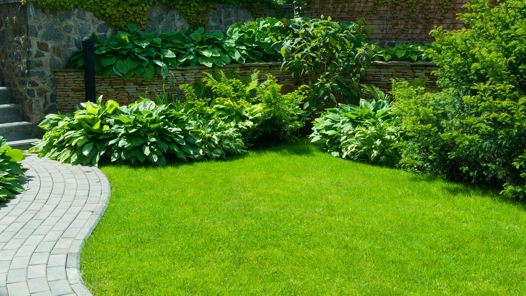 I'm an avid gardener and these are the top 3 tools I use to keep my lawn in good shape