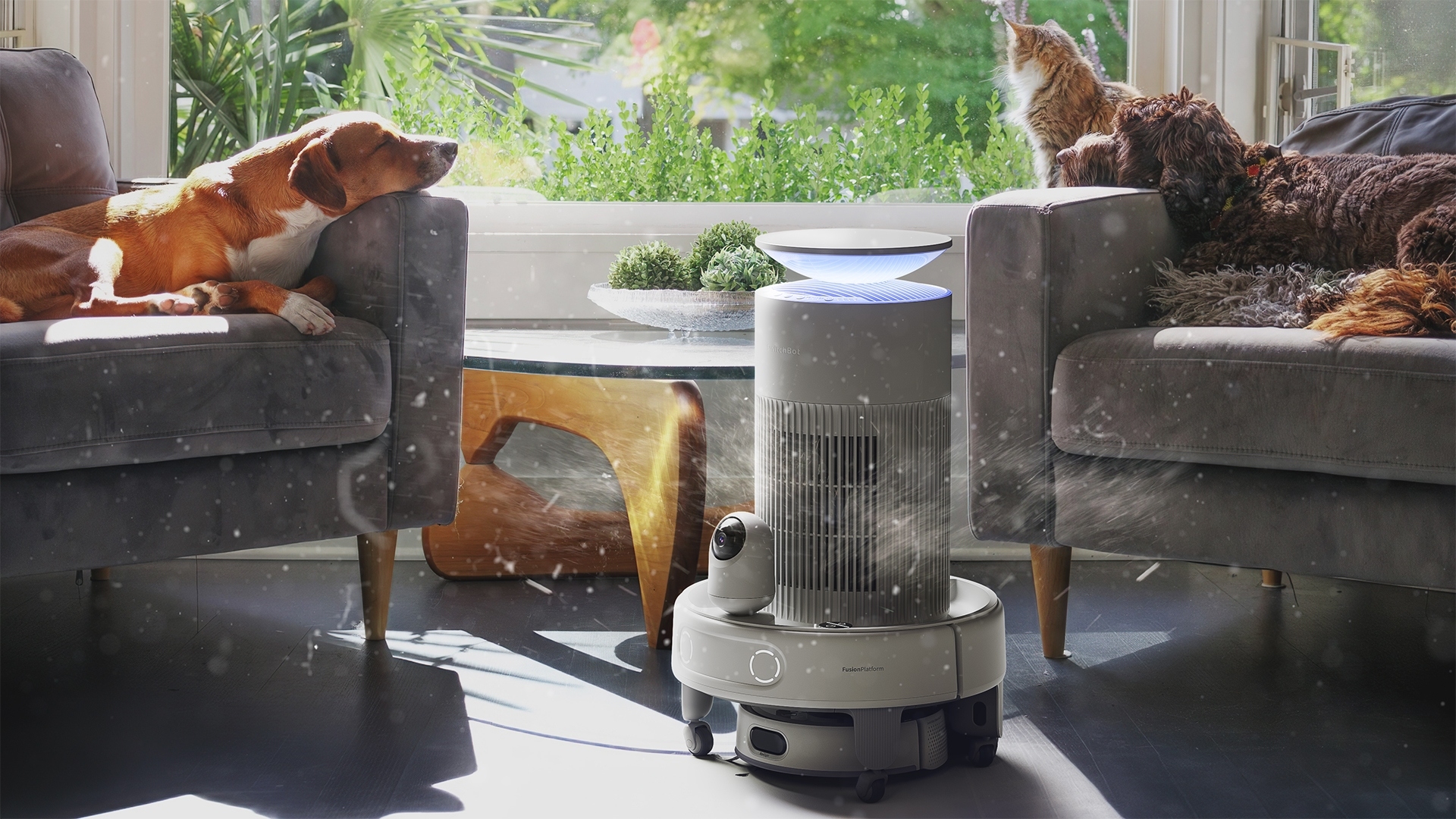 SwitchBot just launched a household robot that'll be your vacuum, air purifier and security camera in one