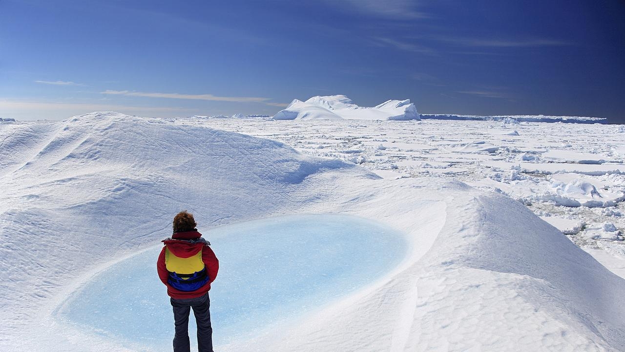 World reacts to shock development in Antarctica: ‘Oh my god!'