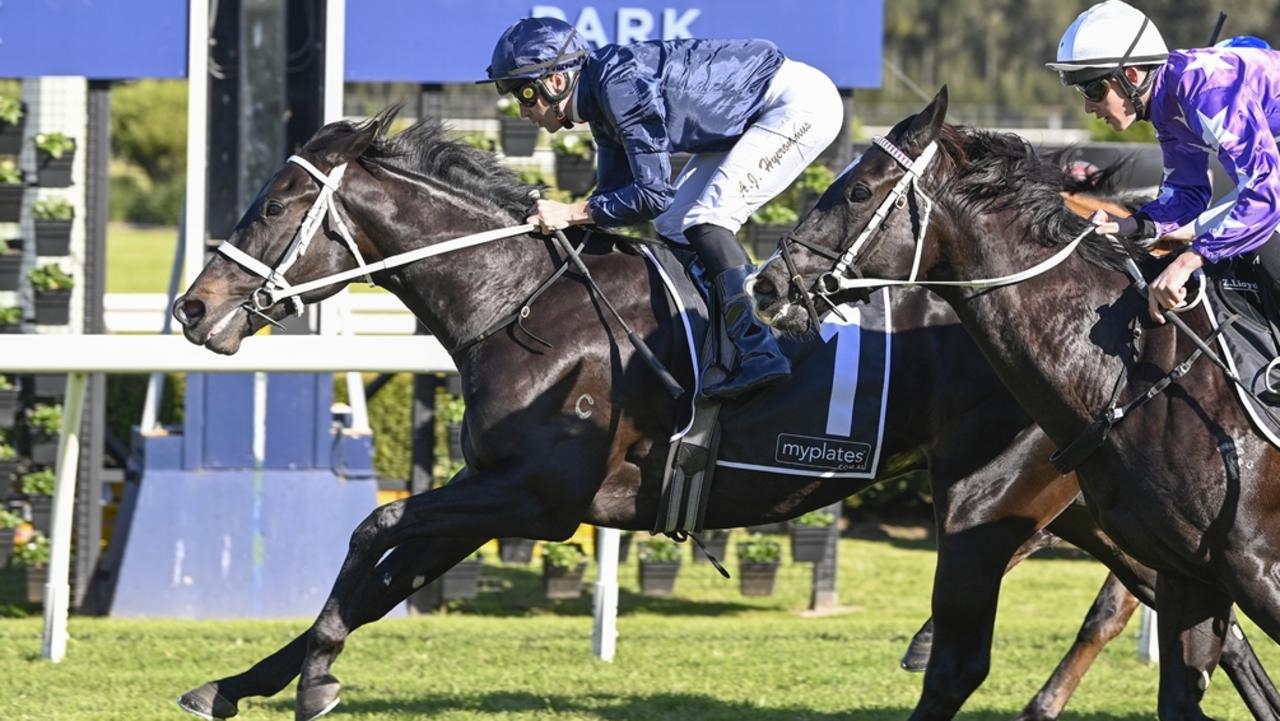 $1.4m boom colt Central Coast salutes as $3m baby Ernaux falls at Canterbury