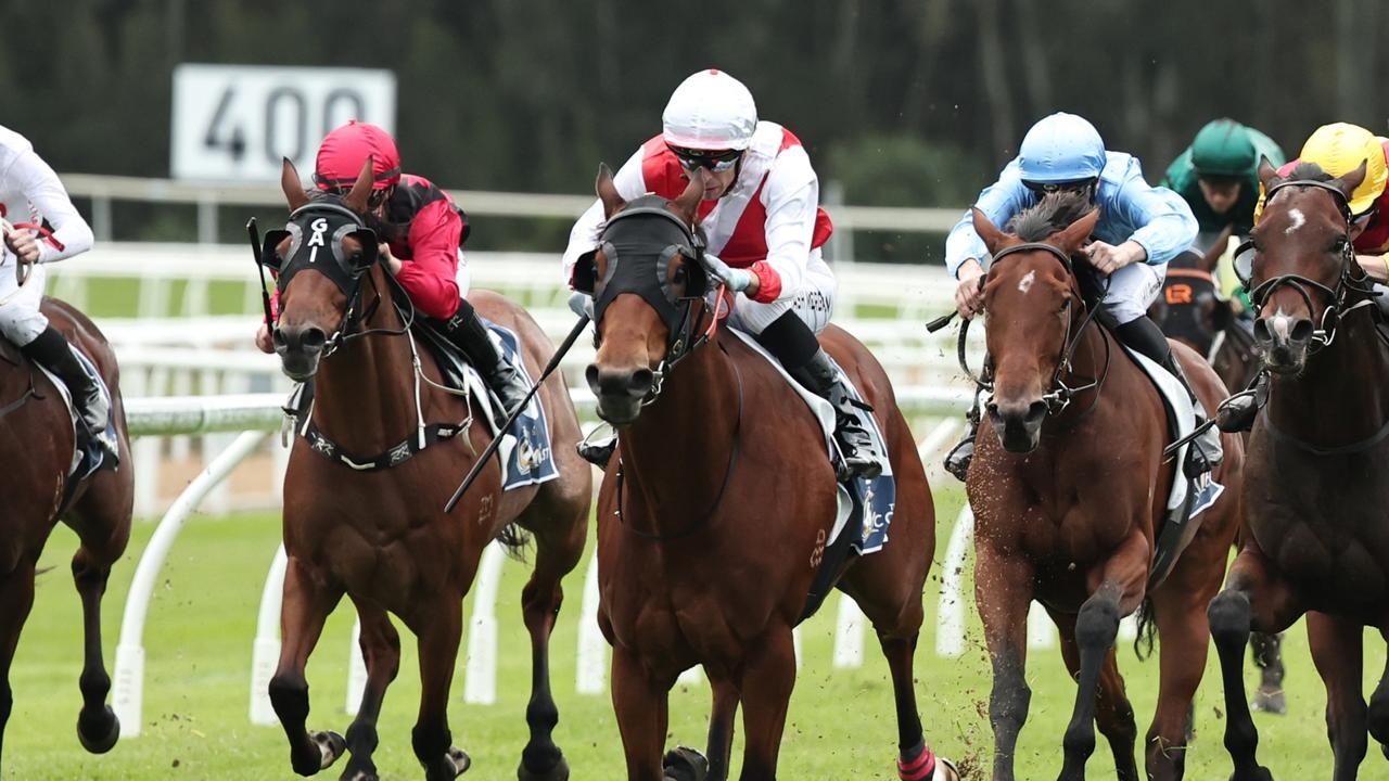 Trainer Paul Messara keen to get Big Dance winner Know Thyself into the Big Dance
