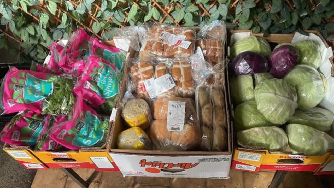 Sydney dumpster diver exposes ‘sad reality' as tonnes of food goes to landfill
