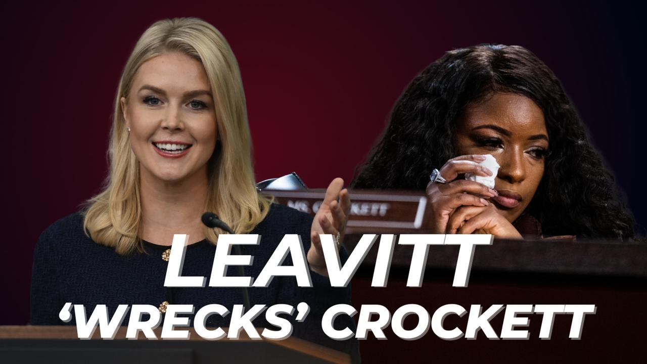 Karoline Leavitt ‘wrecks' Jasmine Crockett for calling Trump supporters ‘sick'