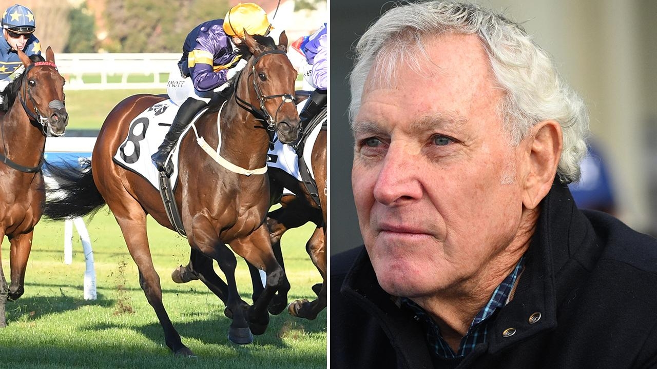 2025 Stradbroke Handicap: War Machine unders, owner says