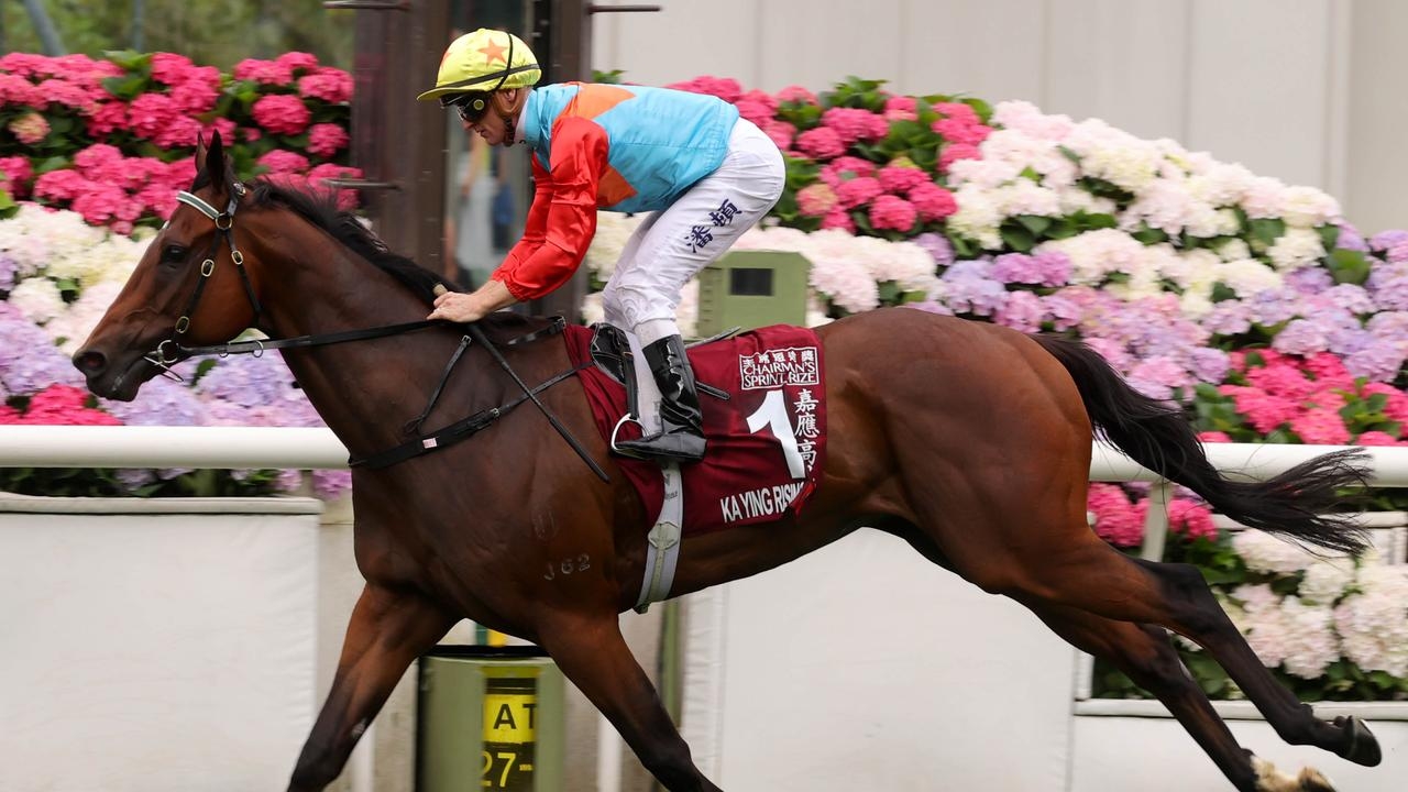 Trainer David Hayes reveals that sprint superstar Ka Ying Rising will have two runs in Sydney this spring