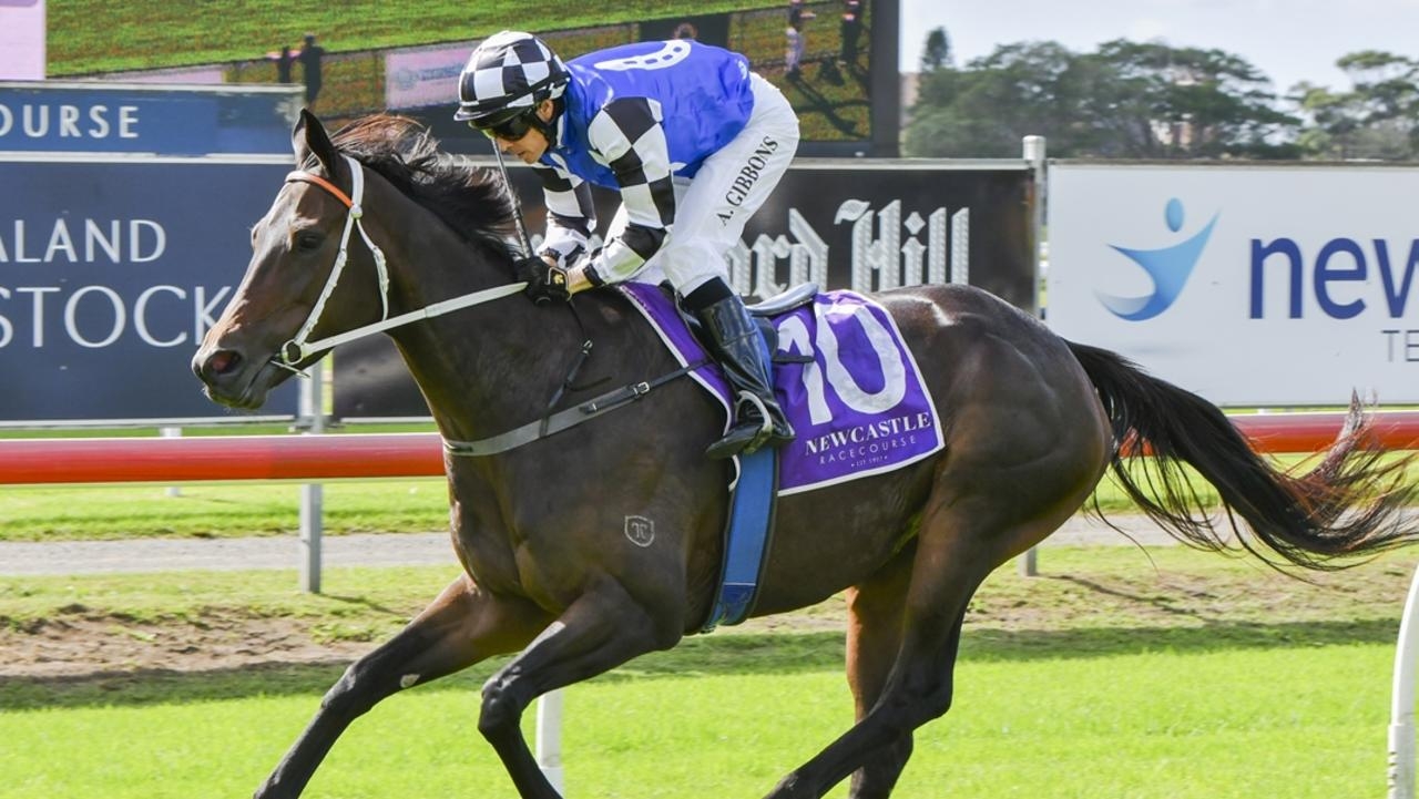 Gosford, Ballina previews: Golden Smile seeks redemption