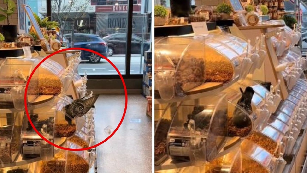 ‘Contaminated': Ritzy suburb's Coles clip goes viral