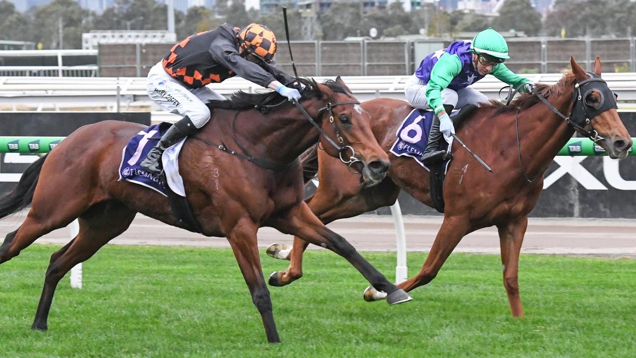 Harry Coffey confident Shockletz has class to handle ‘tricky' weight rise at Flemington