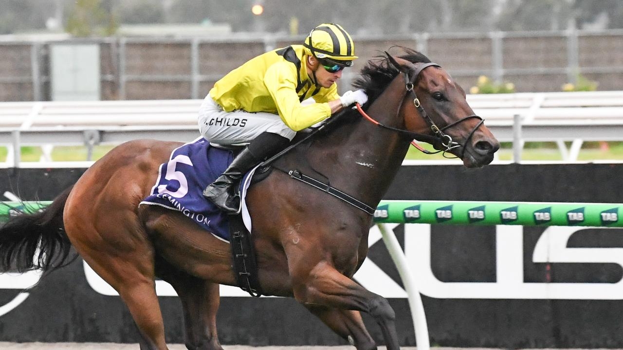 Exciting talent King Zephyr showing his former trainer fun side of racing