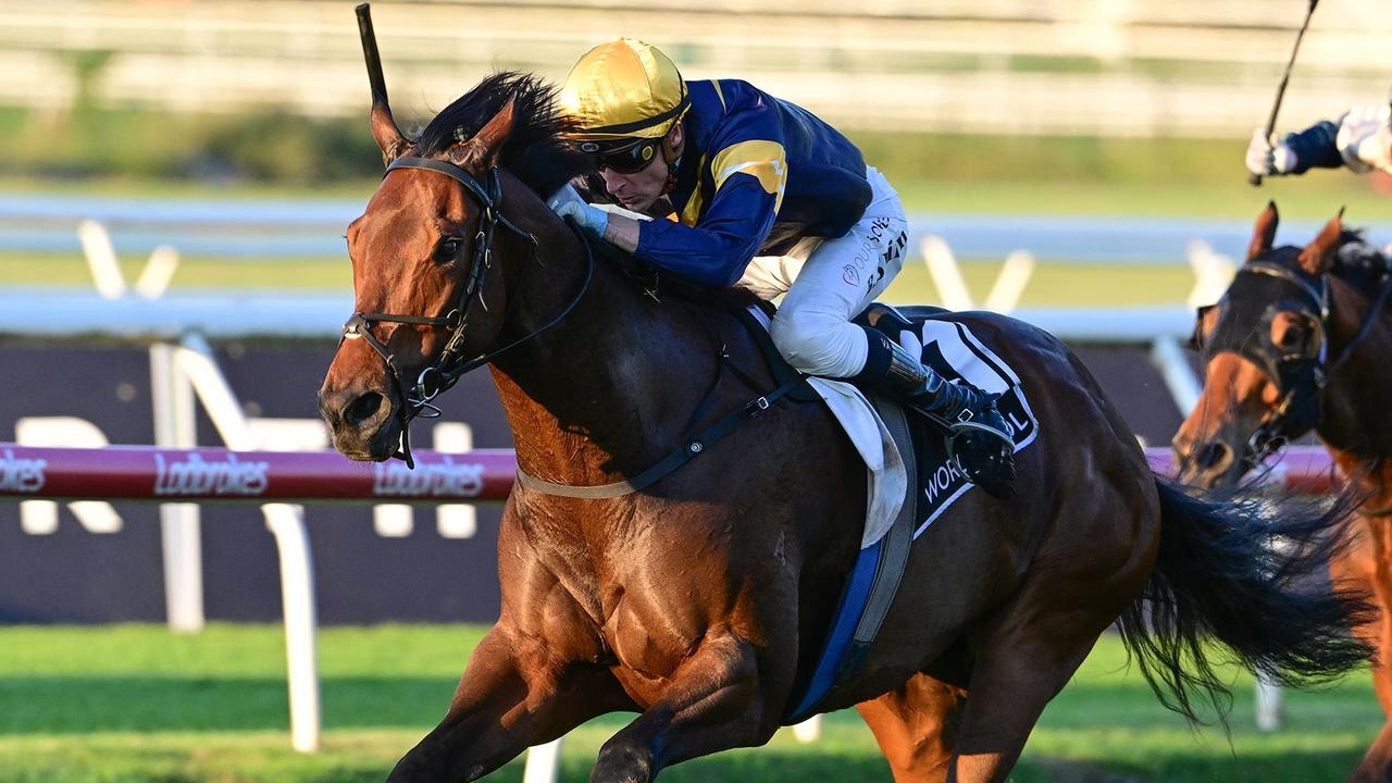 2025 BRC Sprint: War Machine books Stradbroke Handicap berth with dominant win