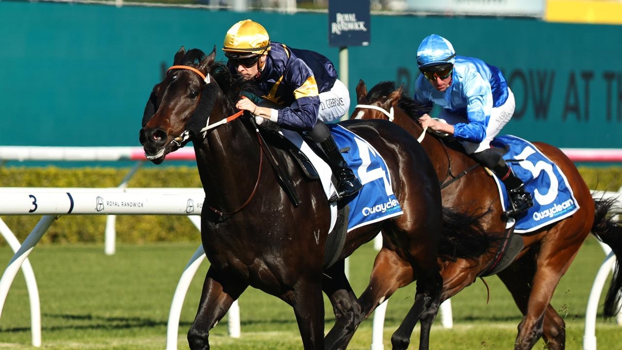 Brave One's wide run no obstacle in Randwick triumph